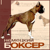 Немецкий Боксер