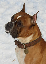 Richard (������)