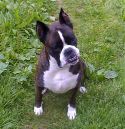 ���� ���